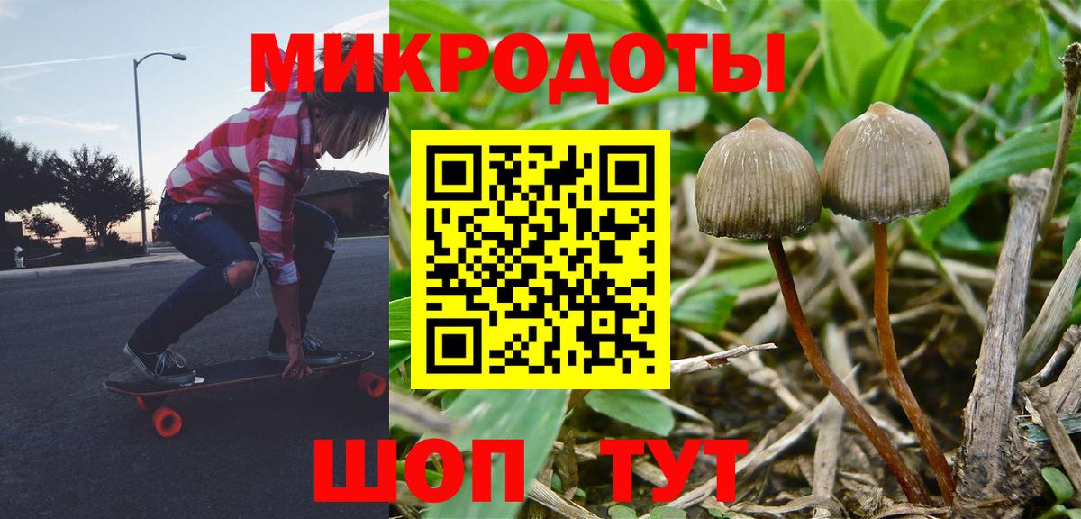 Тосно  наркотики  Вход с VPN  Галлюциногенные грибы прущие грибы 