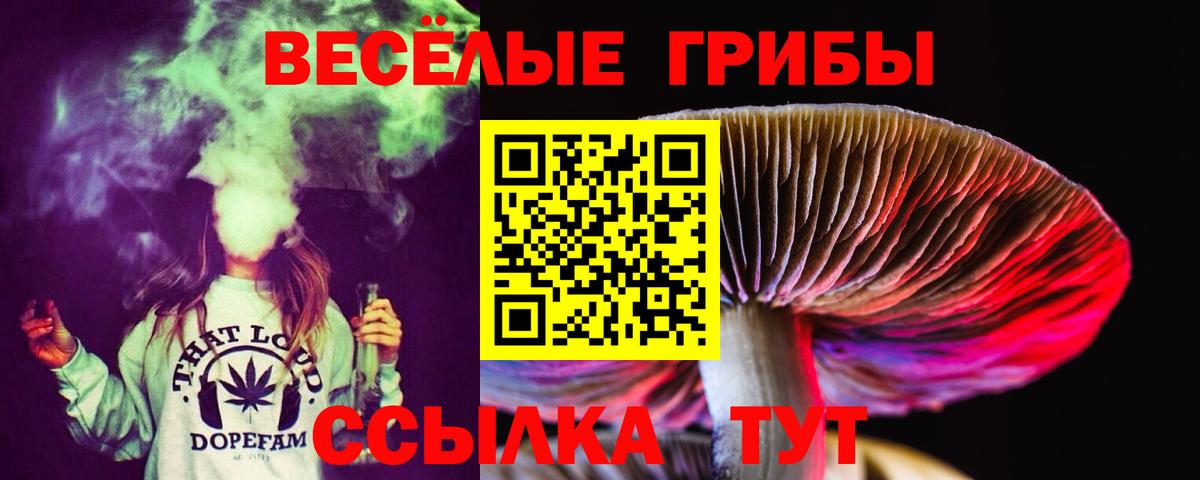 Бошки Шишки Тосно